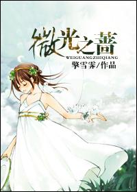 被变成贤惠人妻的勇者们