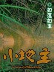 『网配』与你为邻，伴你左右